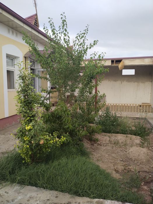 Хива туман Париша маҳалласида 200 квм намунавий катеж сотилади