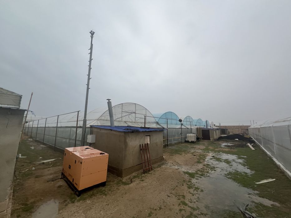 Теплицы срочно сатылады