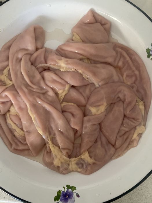 Жылқының ішегі сатамын