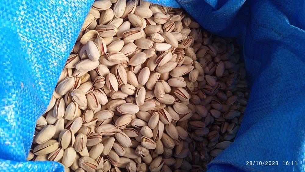 Eron pista urugʻi sotiladi. Navi Akbariy va Ahmadiy