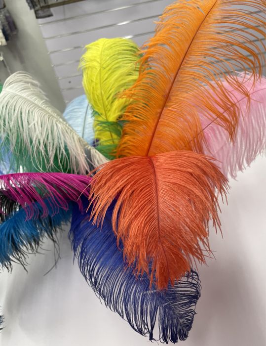 Веер из перьев
