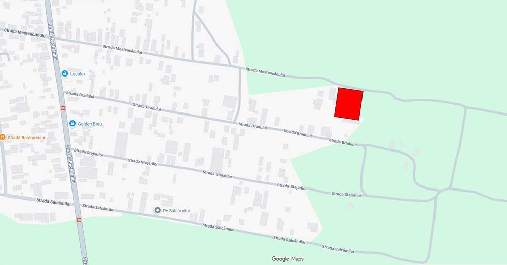 Teren intravilan generos în Malu Mare, Dolj - 2500mp