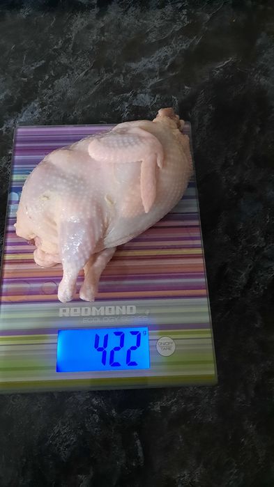 Инкубационное яйцо перепелов.