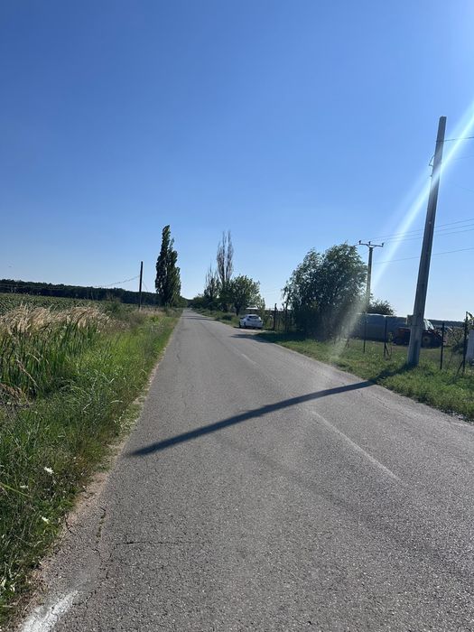 Vand teren intravilan 1000mp in Bucovat - Mai multe