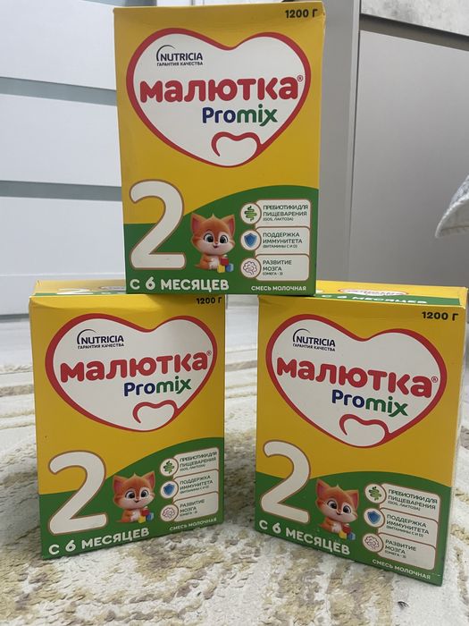 Сухой смесь……………………