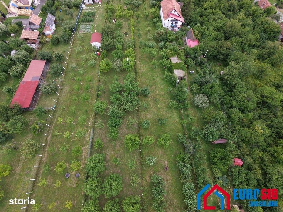 Teren intravilan 1000 mp in Sibiu Daia Noua