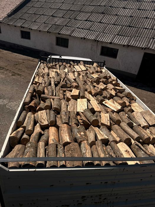 Lemn de foc esență tare – Bistrița și județul Bistrița-Năsăud