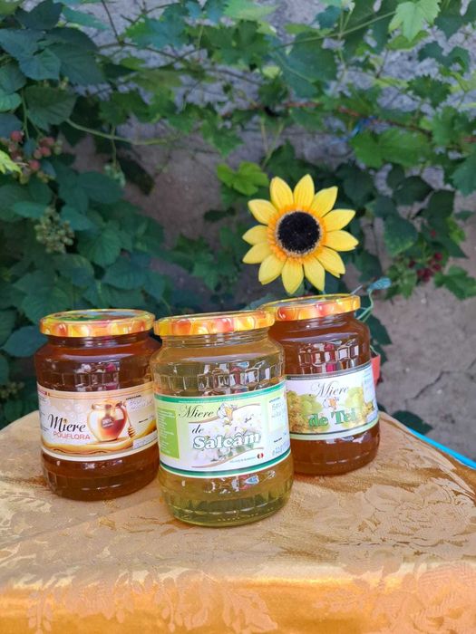 Vand miere de albine si stupi,in conditii excelente.