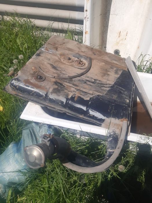 Сидиния газельге