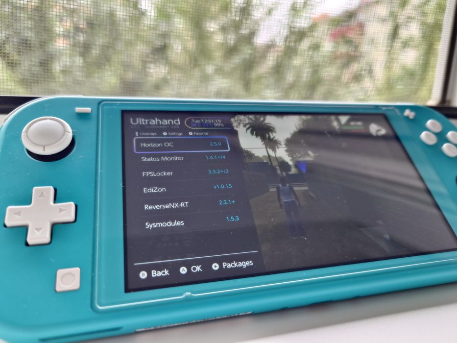 Nintendo Switch Lite прошитый
