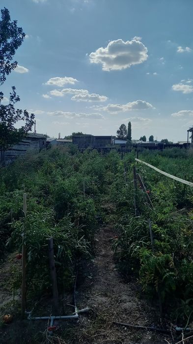 Срочно продам дом посёлок.Бобровке