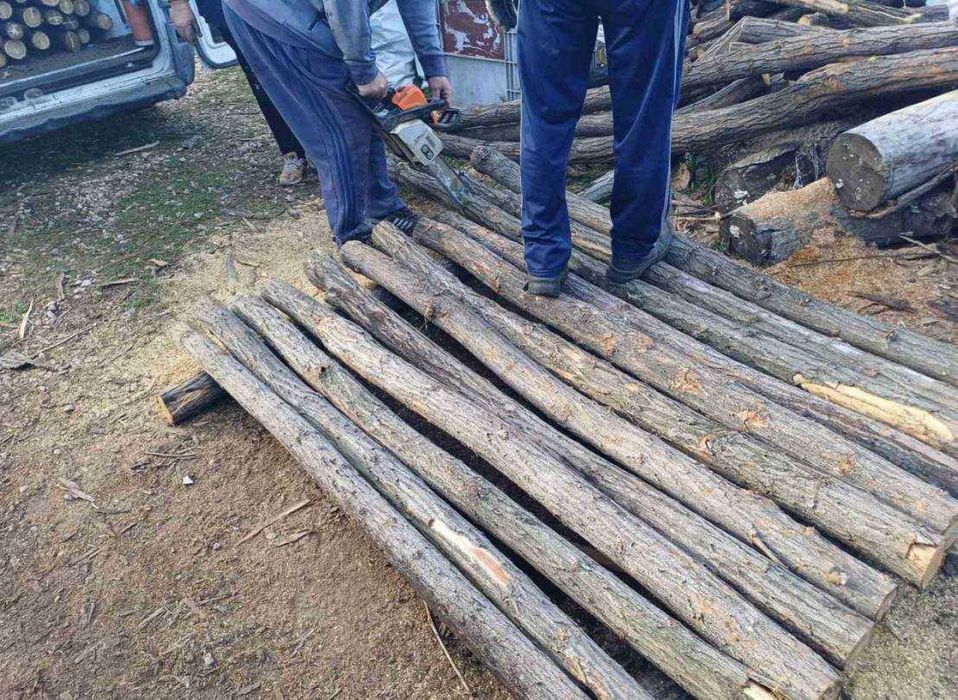 Колове акация-налични количества ,различни дължини и диаметър