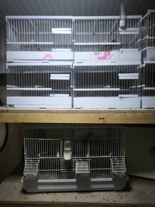 Клетки и вальеры для канареек