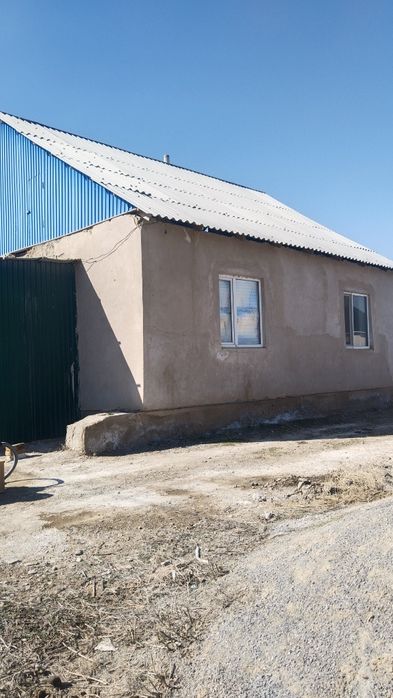 Алушылар бірден хабар беріңіздер срочна