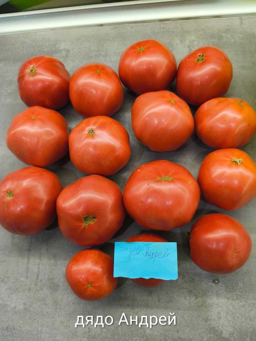 Семена от стари селски нехибридни сортове домати,краставици и други