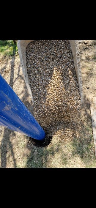 Foraje Puțuri Și Denisipari