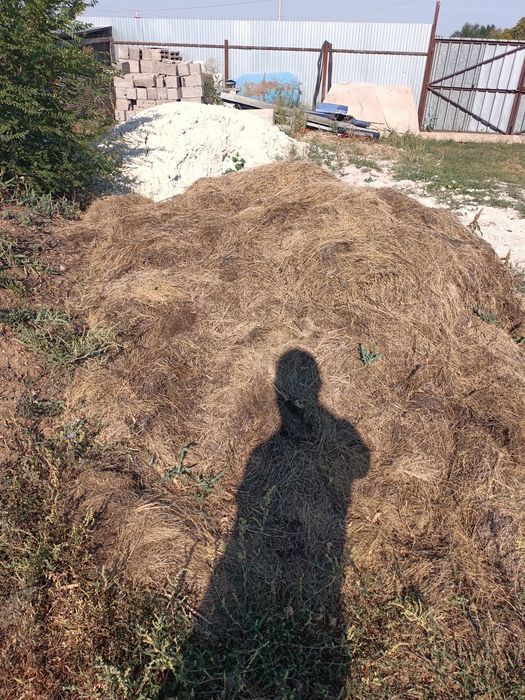 Продам Акбалшык  Самовывоз