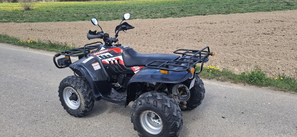 Vand linhai 300cc cu acte