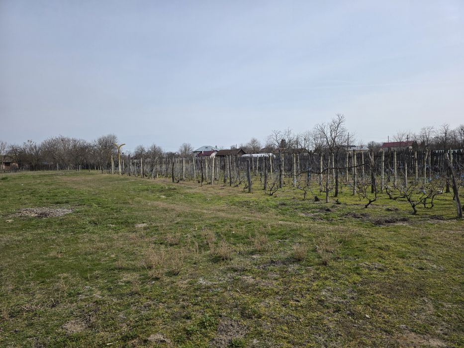 Vand casa comuna Celaru, sat.Soreni ,jud.Dolj