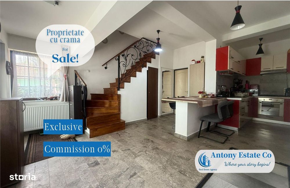 Proprietate cu crama, Ultracentral, casa de vanzare, Oradea, Bihor