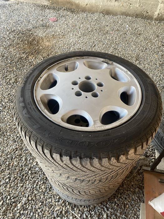 Ромашка титанка R 16