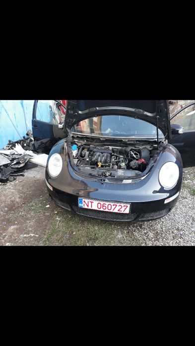 Dezmembrari  Volkswagen beetle