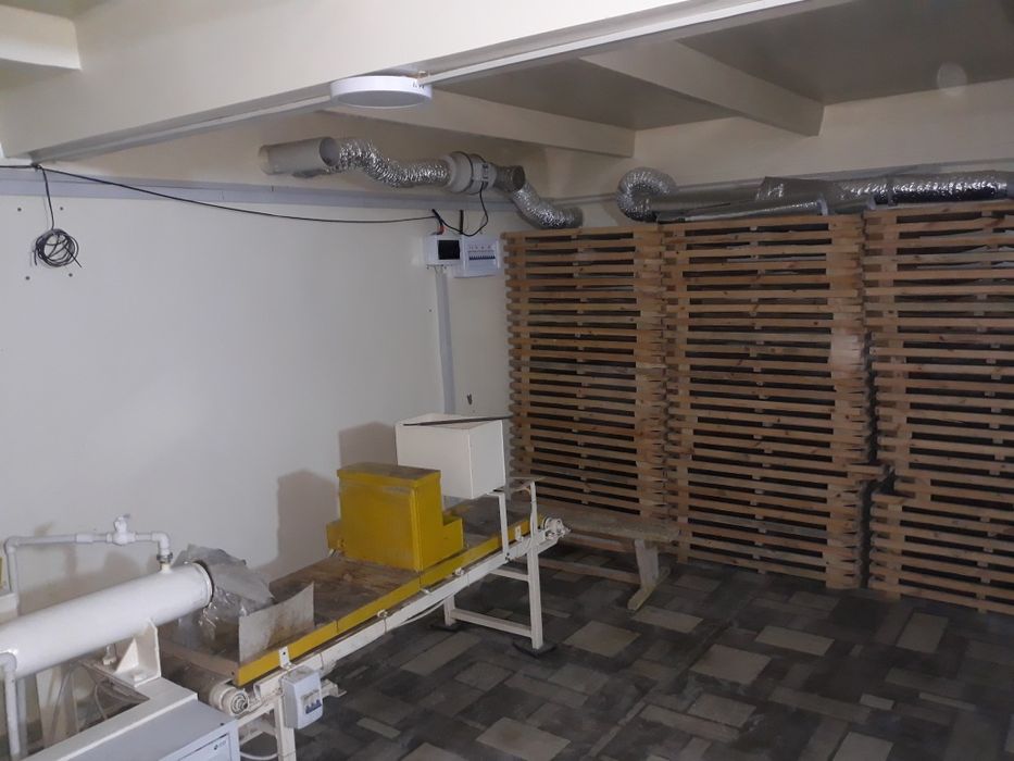 Makaron ishlab chiqarish biznes! Srochno sotiladi