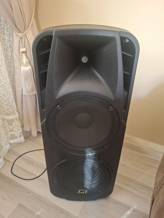 Караоке двойна тонколона PS212H AntX