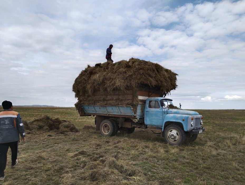 Газ 53 самосвал.