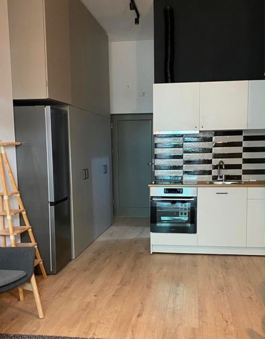Apartament 1 camera cu gradina, Copou, Newton