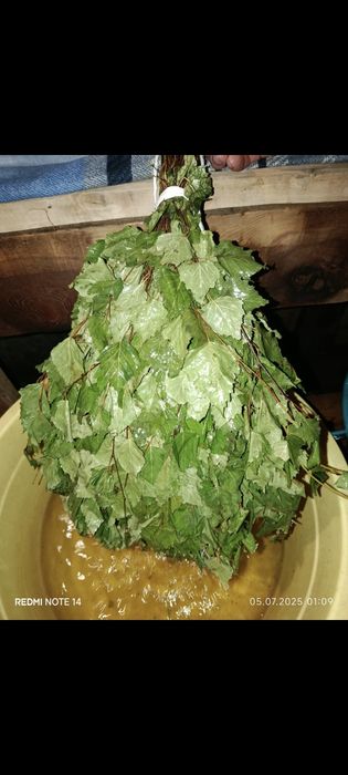 Продам березовые веники