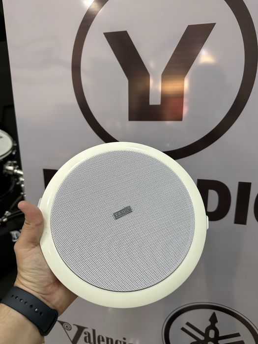 Потолочный колонка