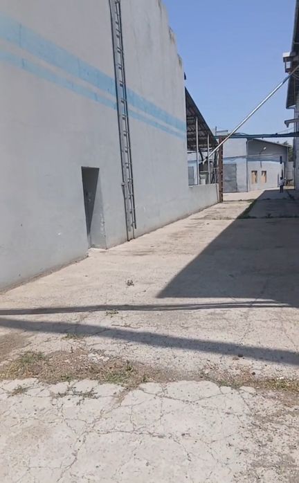 Прадажа производства с веткой