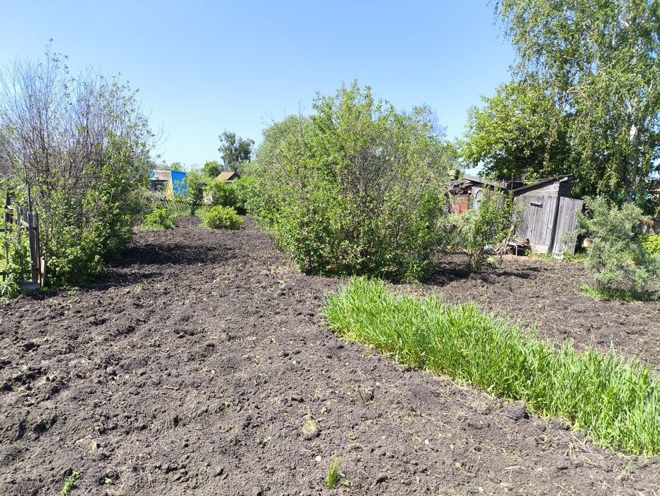 Продам дачу Борки