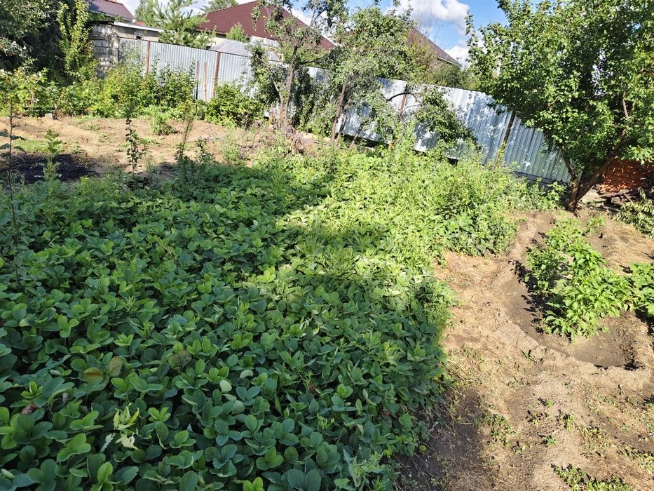 Продам дачу район келешек