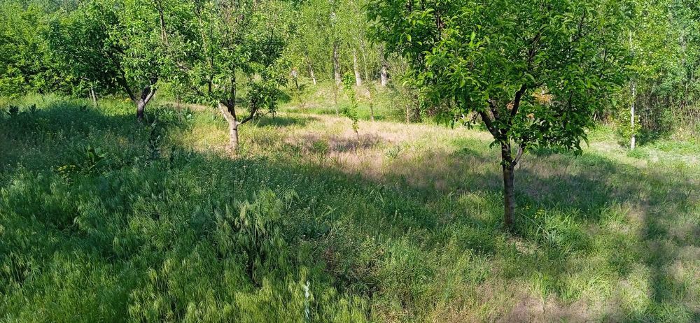 Продава се Къща в Видин, Акджамия - 56 кв.м за 1822 €/кв.м - Снимка #12