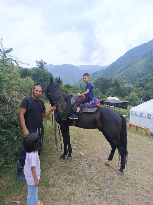 Темур жуманиязов