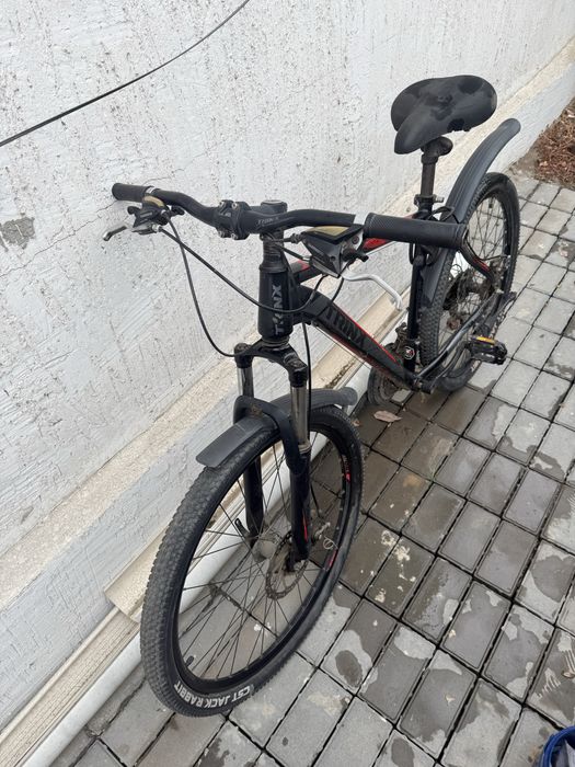 Велики пспортивные и обычные