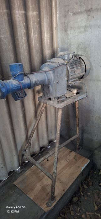 Misirifka bogdoyga ishlatilgan