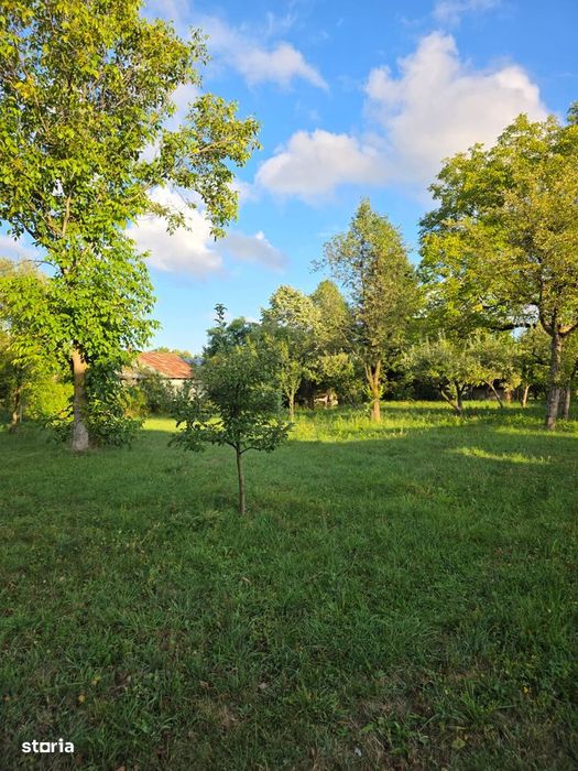 Teren 2500 Mp – Potențial Business / Dezvoltare – Breaza
