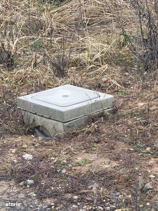 2380 mp teren in Paleu, strada Teiului