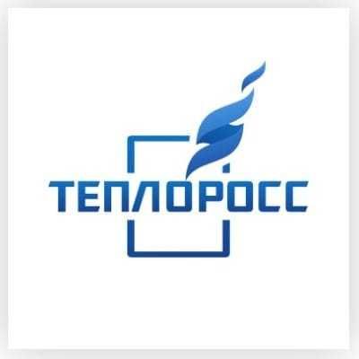 Газовый котел настенный Teploross 18 DY + Дымоход
