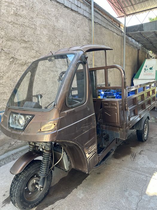 муравей зонлон ангрен