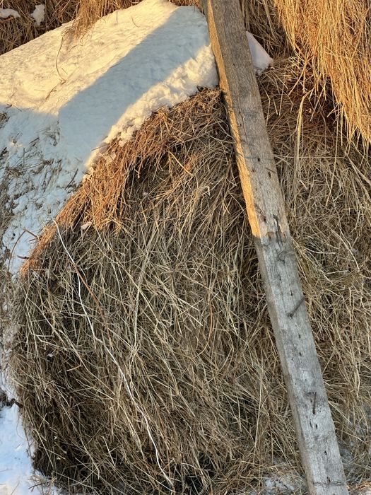 Продам сено в рулонах