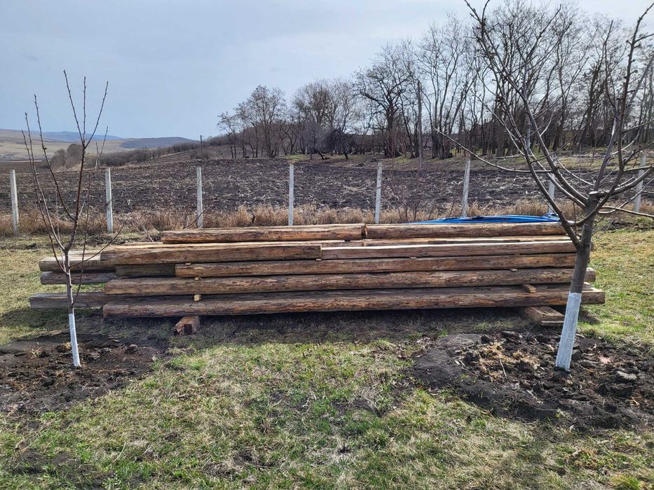 Grinzi/bârne pin silvestru