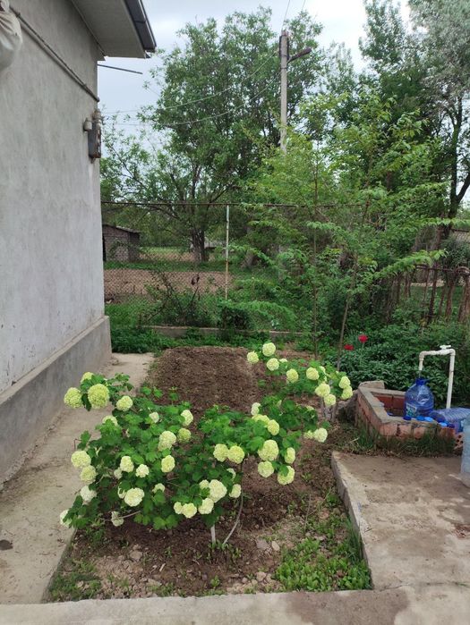 Продается дача в Янгиюльском районе