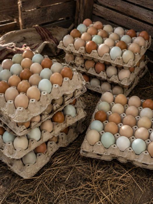 A&A Agro Farm / Oua BIO ,