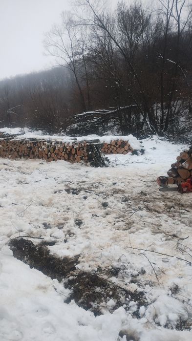 Vand lemne de foc carpen