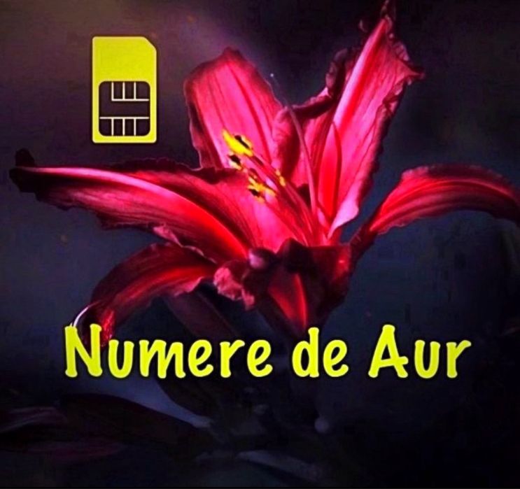 NumereVipNumarGoldAur