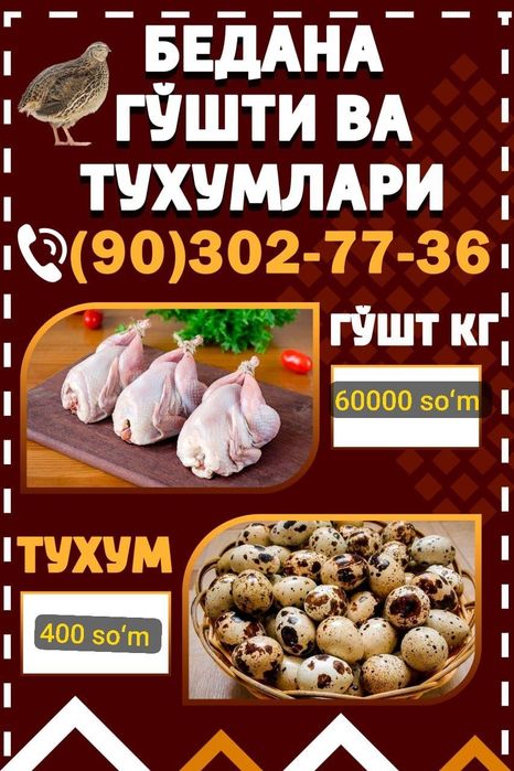 Bedana kataklari sotiladi va bedana sotiladi